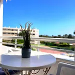 Seaview Friendly 8